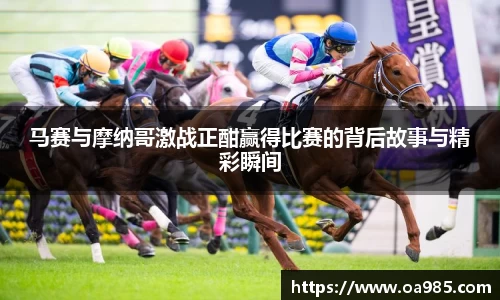 万博max中国官方网站